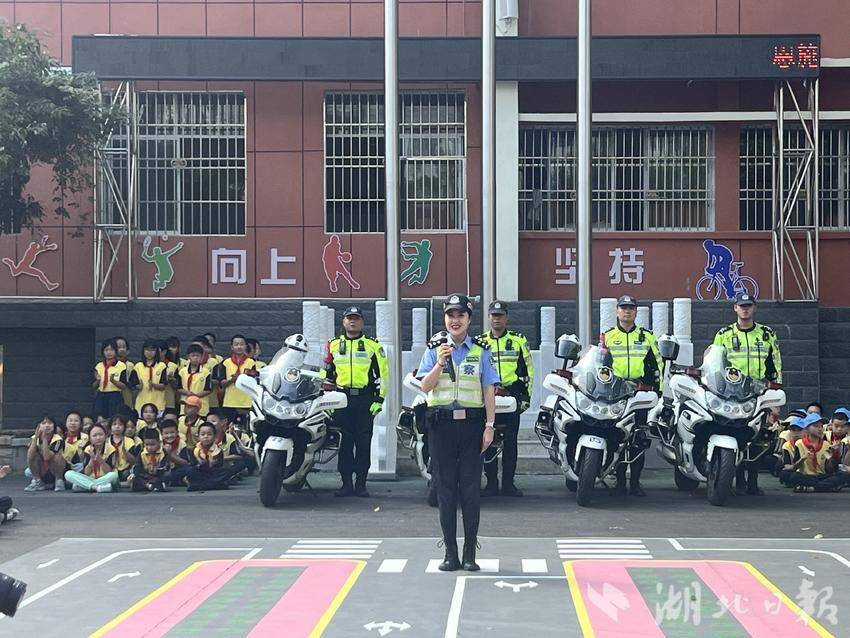 手机验证送彩金